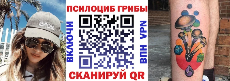 Купить где  Электрогорск  Галлюциногенные грибы GOLDEN TEACHER 